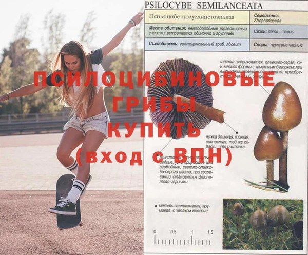 синтетический гашиш Алагир