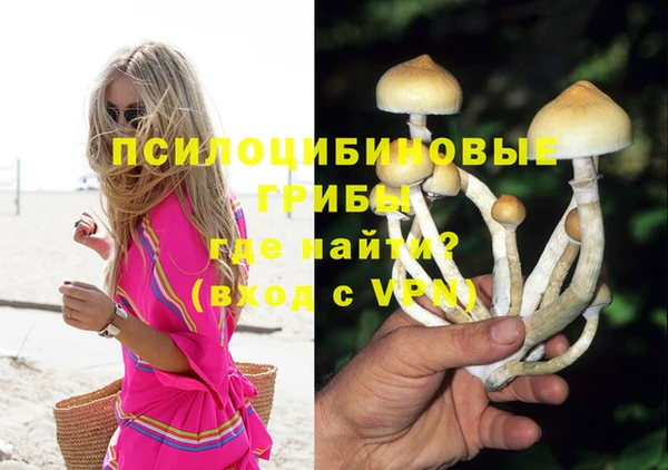 мяу мяу мука Алапаевск