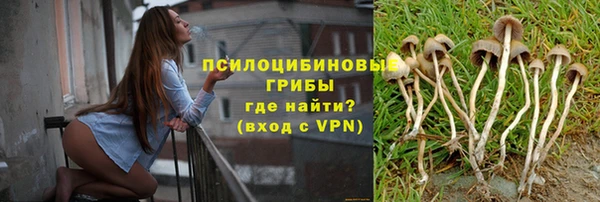 Альфа ПВП Магас