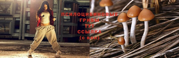 мяу мяу мука Алапаевск