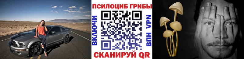Галлюциногенные грибы Psilocybe  купить  сайты  Заозёрск 